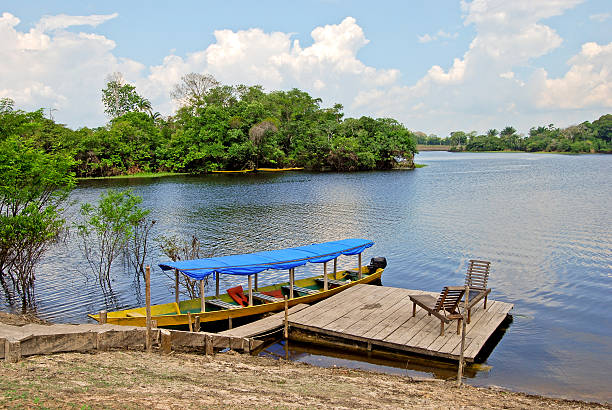 floresta amazónica: barco no rio amazonas, brasil perto manaus - drausen imagens e fotografias de stock