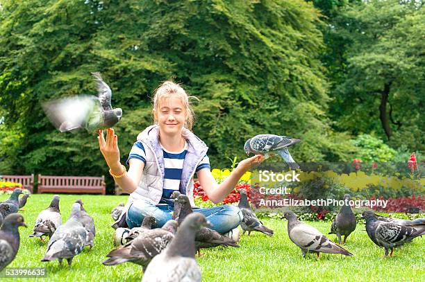 Pigeon Feeding And Balancing On Smiling Girls Hands Summertime Outdoors Stock Photo - Download Image Now
