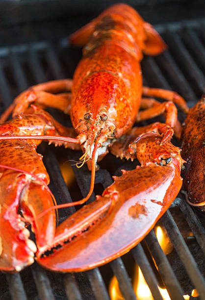 istock Lobster on the barbecue 533996876