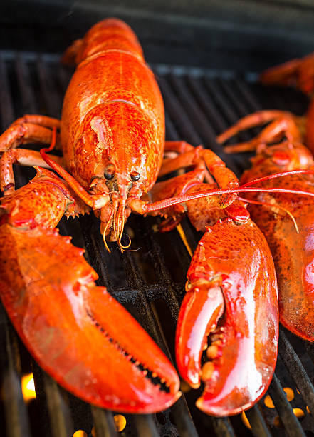 istock Two lobsters on the barbecue 533996936