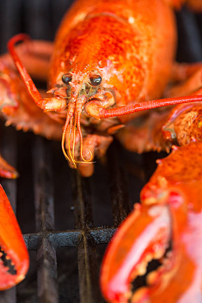 istock Lobster on the barbecue 533997258