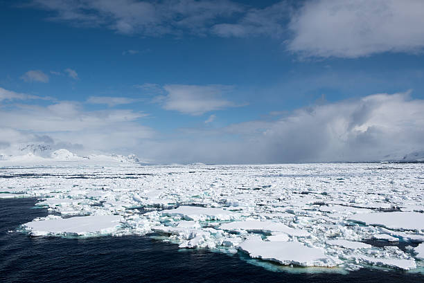 istock Sea covered in pack ice in Antarctica 533997342
