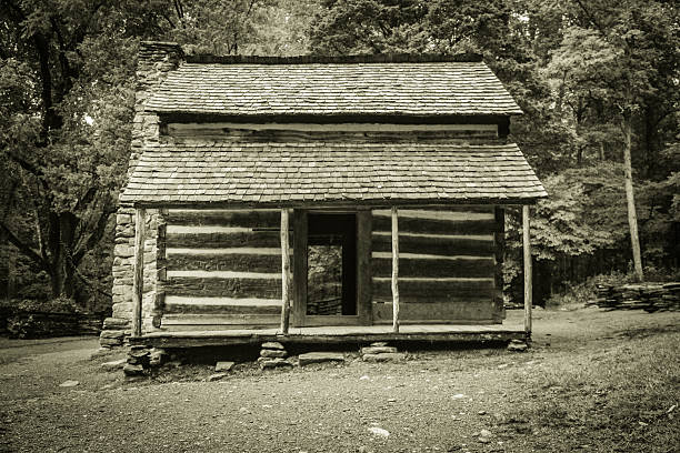 istock Pioneer Cabin 533999353