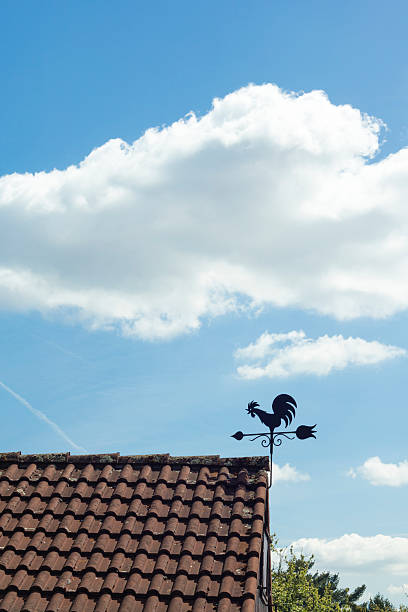 windfahne mit form von einem schwanz auf dem dach - roof roof tile rooster weather vane stock-fotos und bilder