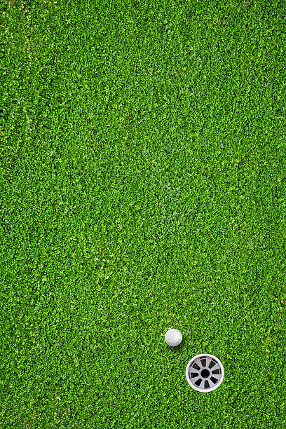 der ball in das loch auf dem golfplatz - putting green stock-fotos und bilder