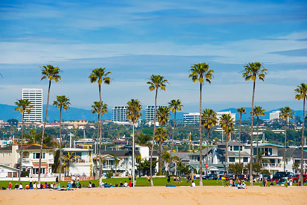 istock Newport Beach skyline with a park and palm trees 534002125
