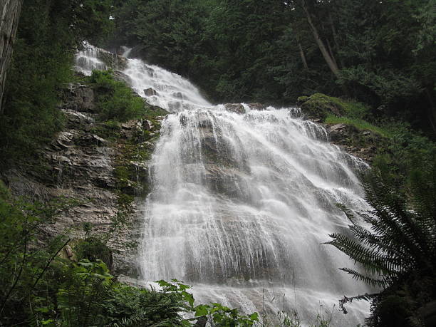 istock Bridal Veil Falls in British Columbia, Canada 534002885