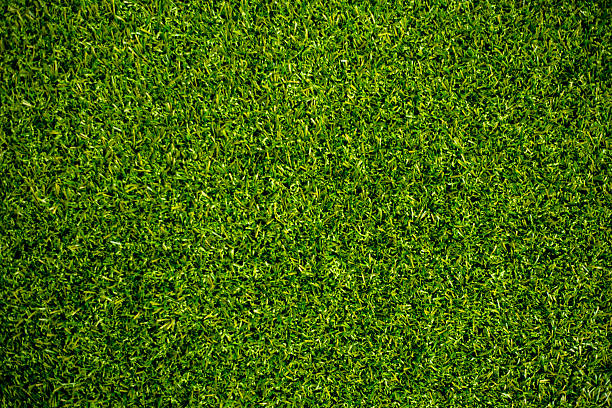 césped artificial  - soccer soccer field grass artificial turf fotografías e imágenes de stock