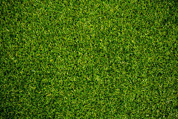 erba sintetica  - grass meadow textured close up foto e immagini stock