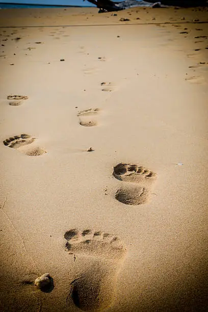 footprint on the golden sand beach