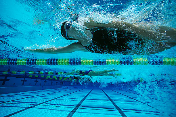 istock Caucasian Female Swimmers Swimming 534025161