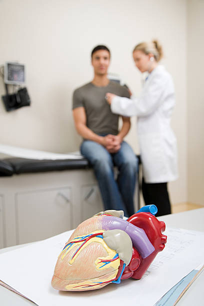 istock Model heart and patient being examined 534025239