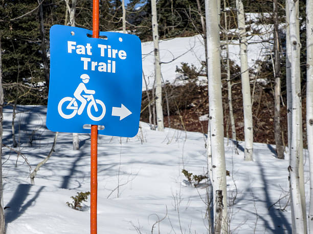 istock Fat tire trail sign pointing into the woods 534026793
