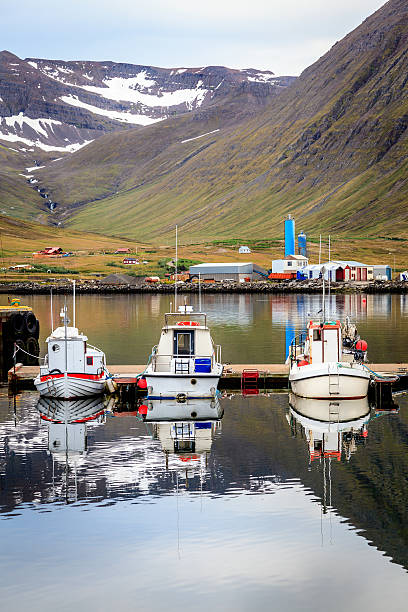 istock Fishing boats 534027917