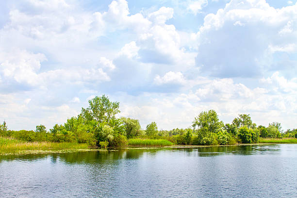 istock landscape river Dnieper marshes and Kherson 534028314