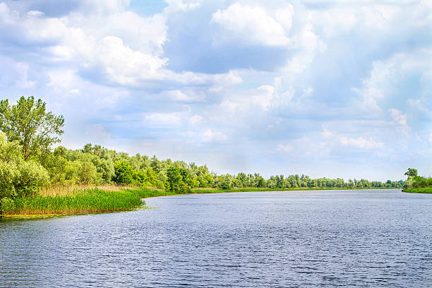 landscape river dnieper marshes and kherson - artex imagens e fotografias de stock