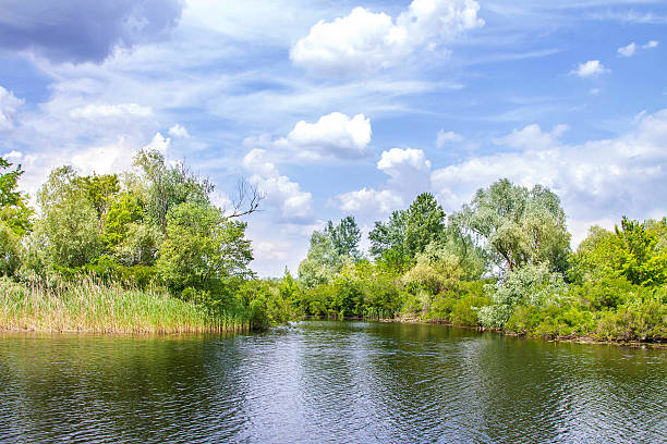 paisaje río dnieper pantanos y jerson - artex fotografías e imágenes de stock