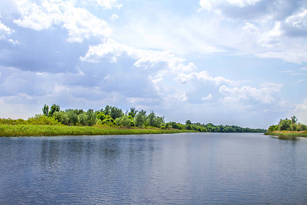 istock landscape river Dnieper marshes and Kherson 534028692
