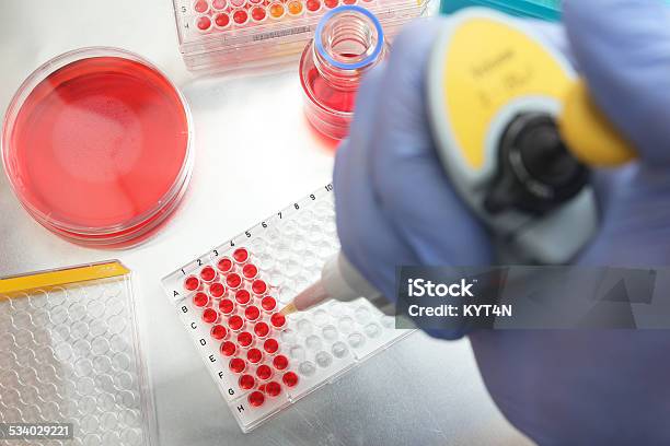 Laboratory Reseaerch Activity Stock Photo - Download Image Now - 2015, Biochemical Weapon, Biology