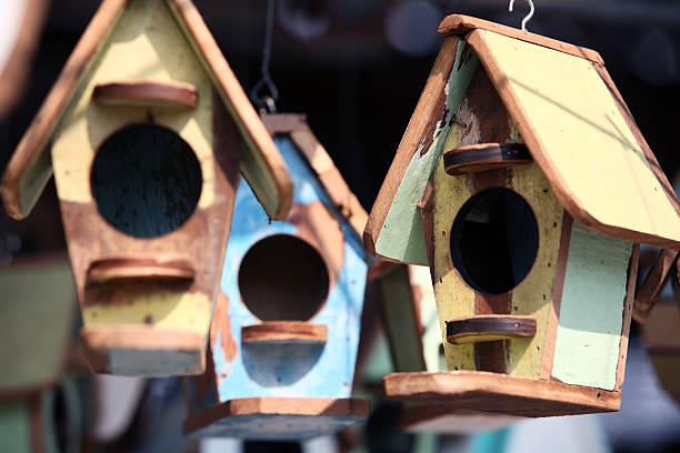istock colorful bird house. 534030065