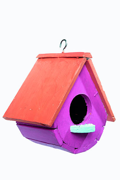 istock colorful bird house isolated on white background. 534030415