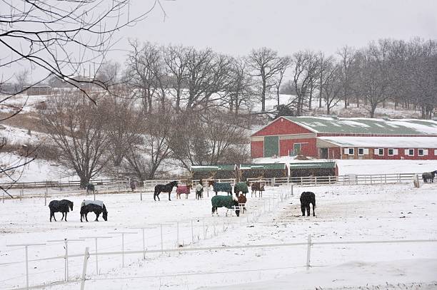 istock Snowfall at the Horse Ranch 534033127