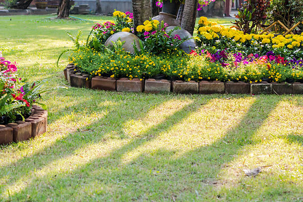 istock Flowers in the garden. 534033266