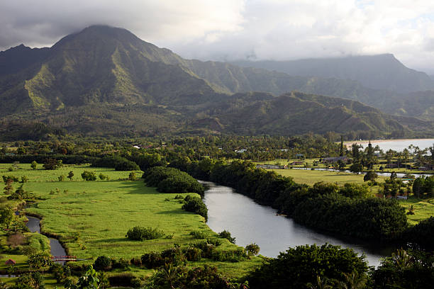 istock Hanalei Valley, Kauai, Hawaii 534034335
