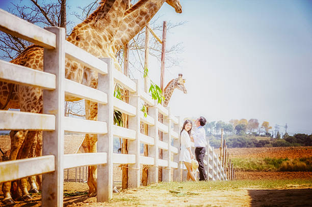 istock Asia young Couple with giraffe 534035000