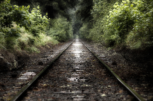 A long dark railroad on a rainy day in the pacific northwest. The water on the tracks is reflecting light making the tracks shine. There's a tunnel of green trees and bushes surrounding the railroad. This photo was shot in Battle Ground, Washington.