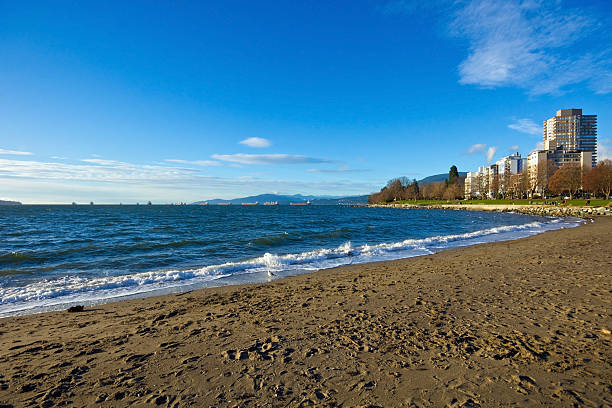 English Bay Beach, Vancouver The beautiful English Bay Beach on a sunny day in December. Vancouver, BC, Canada. beach english bay vancouver skyline stock pictures, royalty-free photos & images