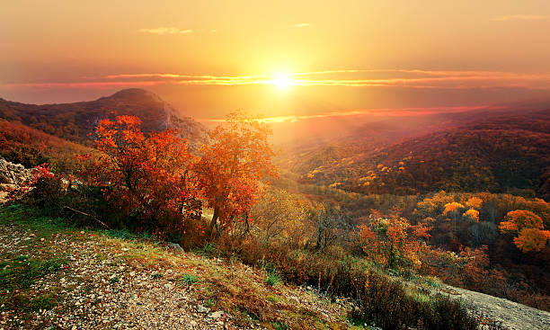 istock Red autumn in mountains 534037838