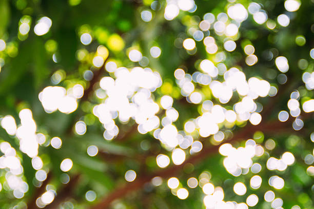 istock green bokeh and soft light in garden 534038404