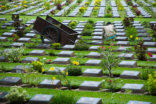 Kanchanaburi, Thailand - August 8, 2007: A groundkeeper maintains the vegetation and beauty at Kanchanaburi War Cemetery, the burial place in Thailand of thousands of POWs who died building the Death Railway during World War II, in Kanchanaburi, Thailand