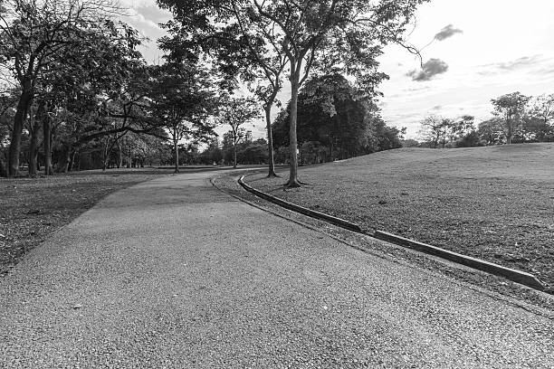 istock Landscap vintage style in park 534040258
