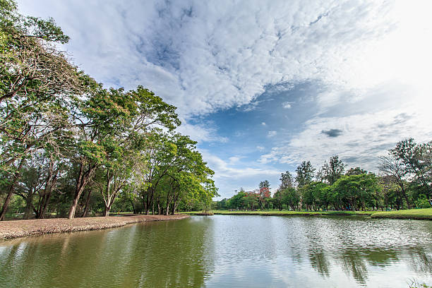 istock The landscap park and grass in city 534040418
