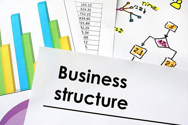 istock Business structure sign written on a paper. 534043444