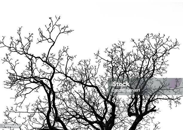 Winter Tree Silhouette Stock Photo - Download Image Now - 2015, Abstract, Autumn
