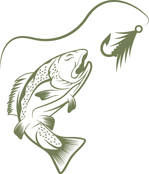 illustrazioni stock, clip art, cartoni animati e icone di tendenza di trota e pesca esca vettoriale modello di progettazione - wild striped bass