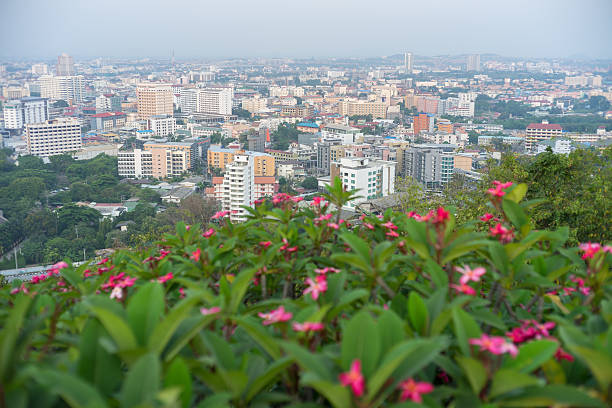 istock Pattaya city at the viewpoint 534045232