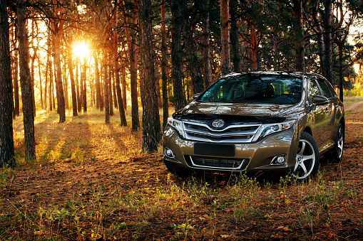 Saratov, Russia - September 29, 2014: Car Toyota Venza in the forest at sunset