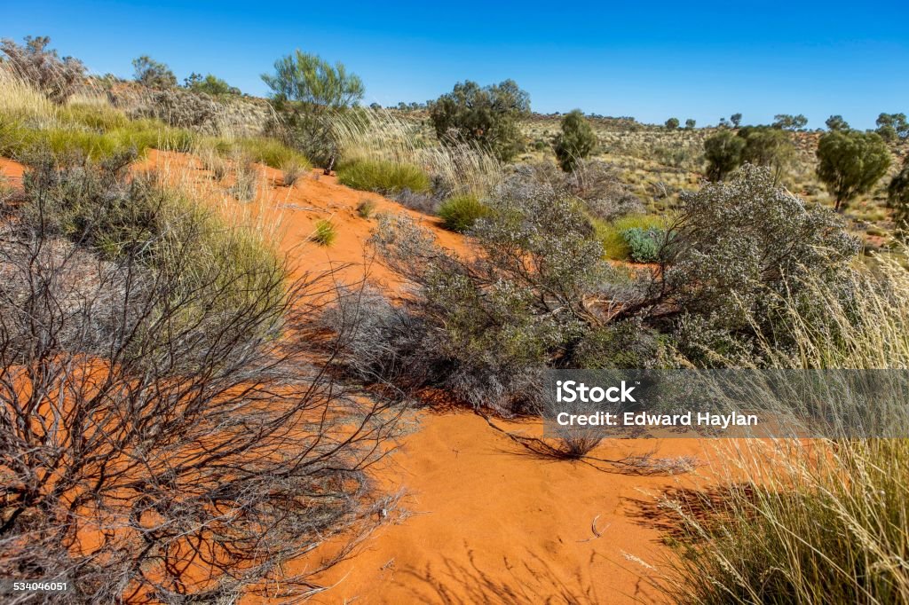 Sand dunes. Sand dunes in outback Western Australia. Australia Stock Photo