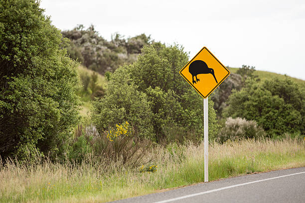 Kiwi Road Sign on side of New Zealand road stock photo