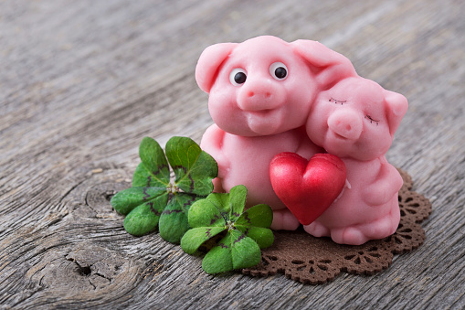 an isolated marzipan pig on lucky clover