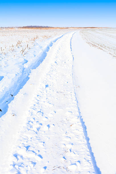 istock Snow field road landscape 534047011
