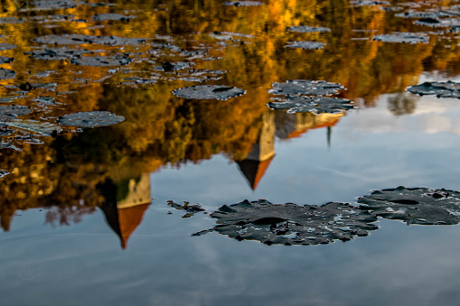 water lily leaves in a Bavarian lake reflecting historical buildings
