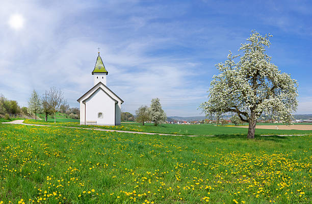 Oberhofen Chapel Orsingen, Germany in spring with blooming pear tree and a meadow with yellow dandelion 