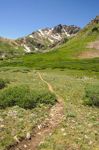 istock Rocky Mountain Alpine Trail 534047975
