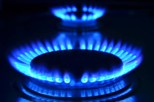 Gas flames Burning flames of a gas stove cooker. gas stove burner photos stock pictures, royalty-free photos & images