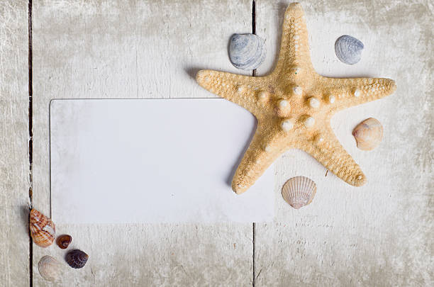 istock Frame with Few marine items on a wooden background 534051157